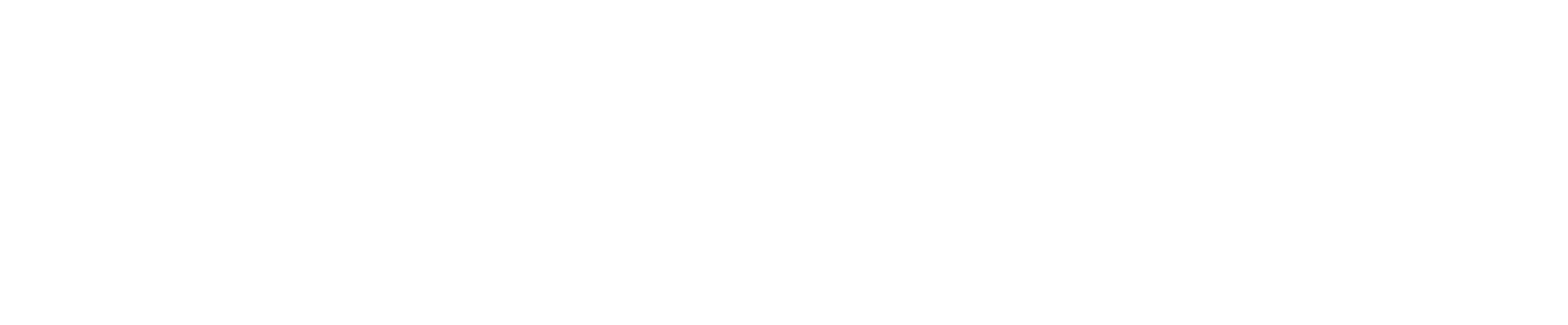 Komite Solidaritas Palestina